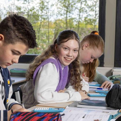 mavo/havo